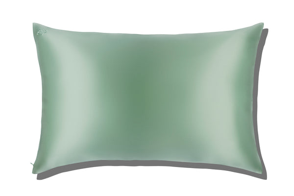 Pistachio Queen Zippered Pillowcase